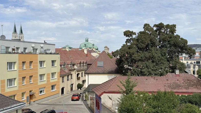 Panoramablick über die Dächer der Stadt mit historischen Gebäuden und grünen Bäumen.