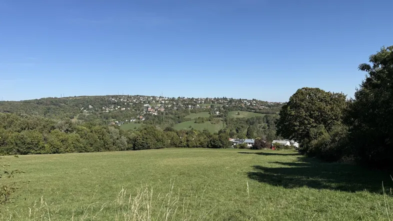 Weitläufige grüne Landschaft mit Feldern und bewaldeten Hügeln unter blauem Himmel.