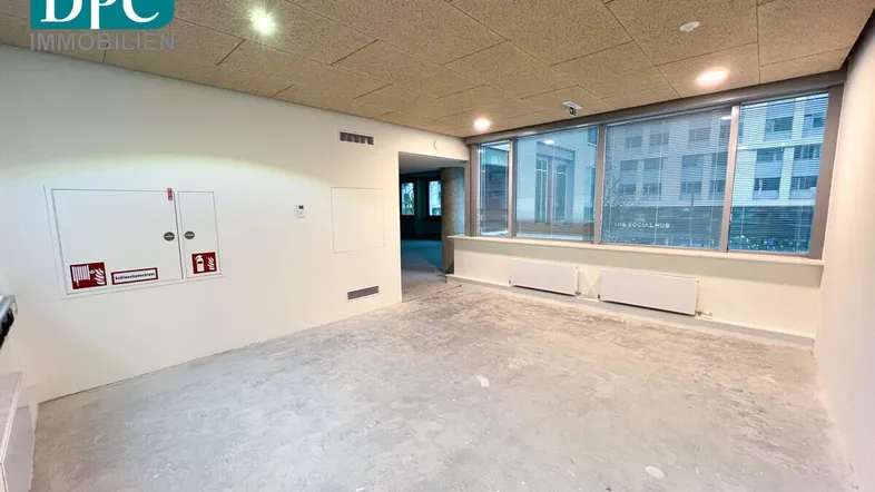 Geräumiger, unmöblierter Büroraum mit großen Fenstern, Akustikdecke und Betonboden, bereit für den Ausbau.
