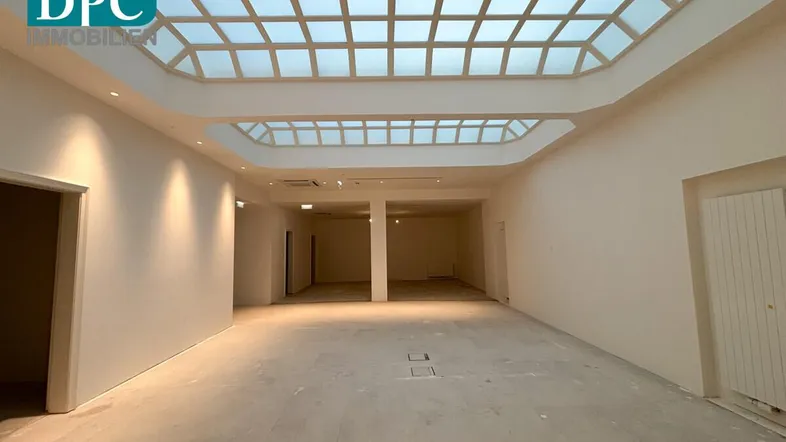 Großer, heller Gewerberaum mit Oberlichtern und hohen Decken, bereit für den Ausbau und flexible Nutzung.