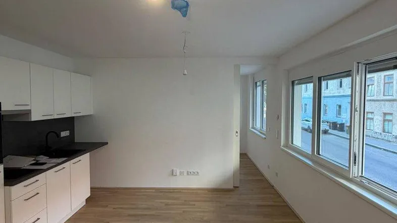 Heller Wohn-Essbereich mit integrierter Küchenzeile, Parkettboden und großen Fenstern zur Straße.