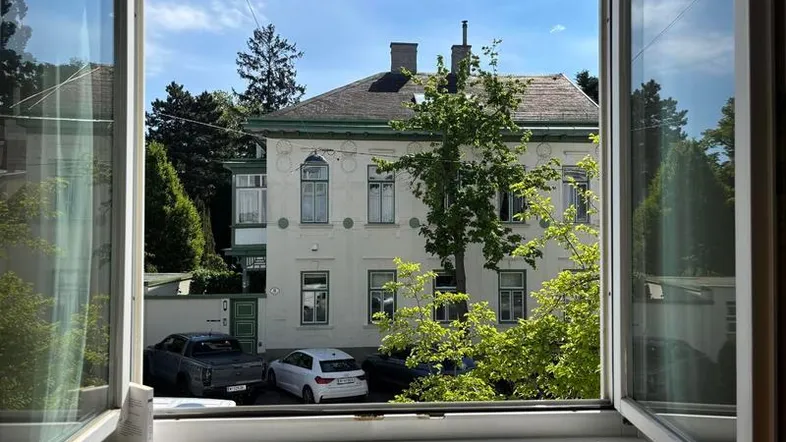 Blick aus dem Fenster auf ein charmantes Altbaugebäude mit parkenden Autos und viel Grün.