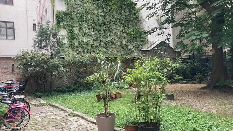 Grüner Innenhof mit Kopfsteinpflaster, üppiger Bepflanzung und bewachsenen Gebäudewänden.