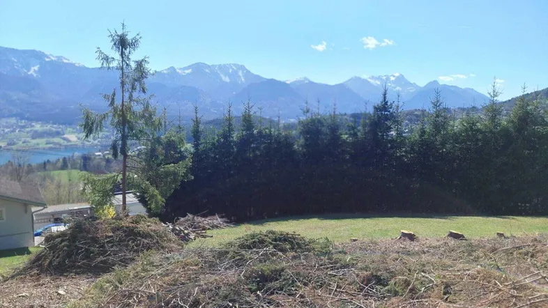 Grundstück mit gerodetem Bereich, Rasenfläche und weitem Blick auf Berge und See.
