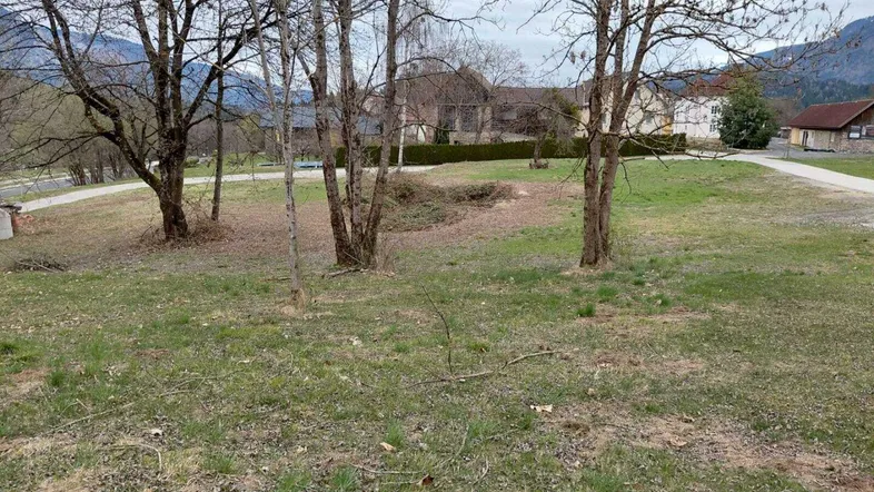 Großes, unbebautes Grundstück mit Bäumen und Blick auf die umliegende Berglandschaft.