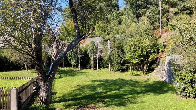 Großer Gartenbereich mit Rasenfläche, Bäumen und Holzzaun, umgeben von viel Grün.
