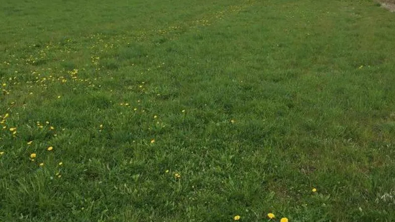 Ansicht in wunderschöner Lage