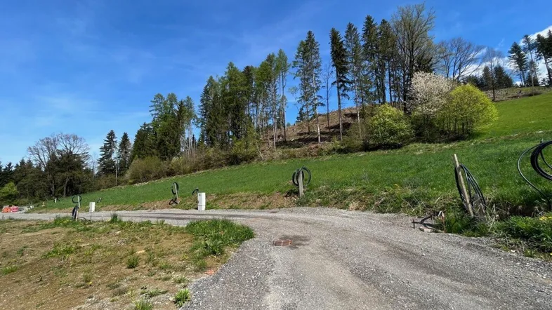 Grüne Hügellandschaft mit einem Schotterweg und Bäumen unter blauem Himmel.