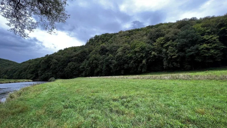 Weite grüne Wiese am Flussufer mit dichtem Wald im Hintergrund unter bewölktem Himmel.