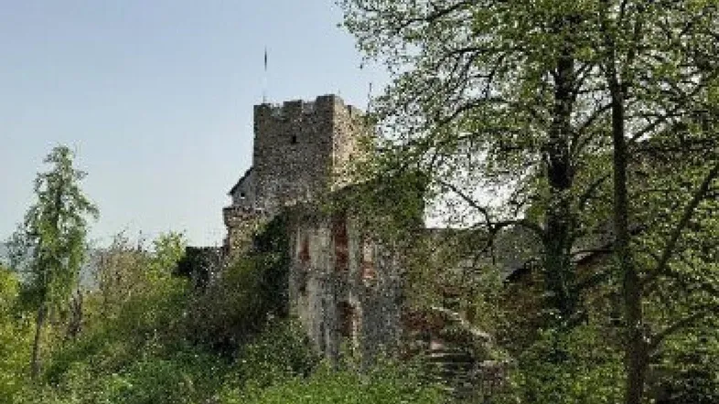 Historische Burgruine umgeben von üppigem Grün und Bäumen unter klarem Himmel.
