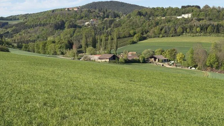 Weite grüne Felder erstrecken sich bis zu bewaldeten Hügeln mit vereinzelten Gebäuden unter blauem Himmel.