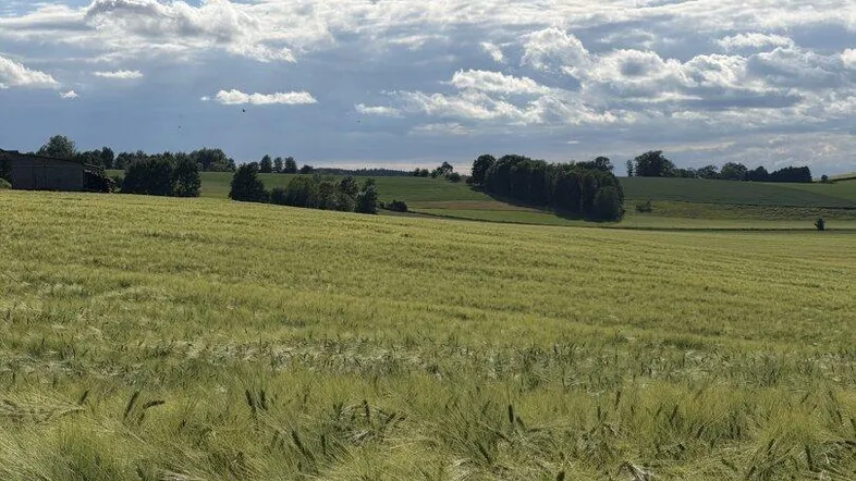 Weite grüne Felder unter einem blauen Himmel mit weißen Wolken, umgeben von sanften Hügeln und Bäumen.