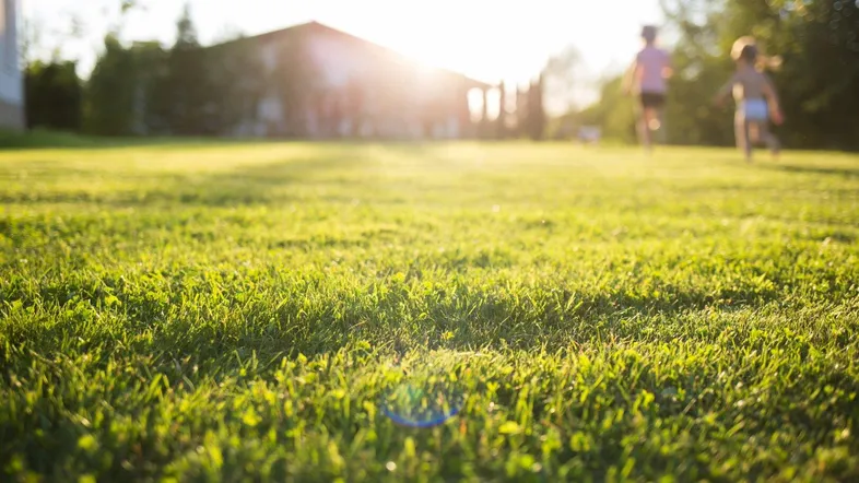 Grüner Rasen im Garten bei Sonnenuntergang mit verschwommenem Haus im Hintergrund.