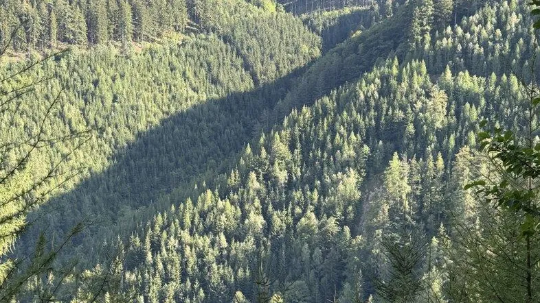 Weitläufige bewaldete Berglandschaft mit tiefem Tal und klarem Himmel, teilweise im Schatten.