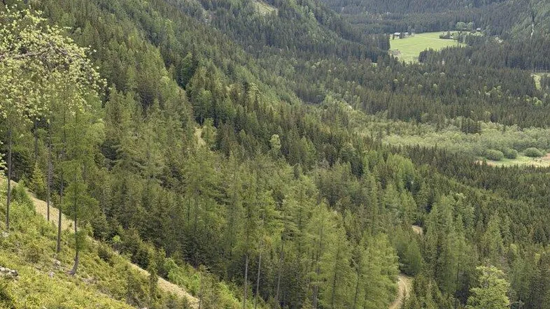 Atemberaubende Berglandschaft mit dichten Wäldern und einem weiten Tal unter einem bewölkten Himmel.