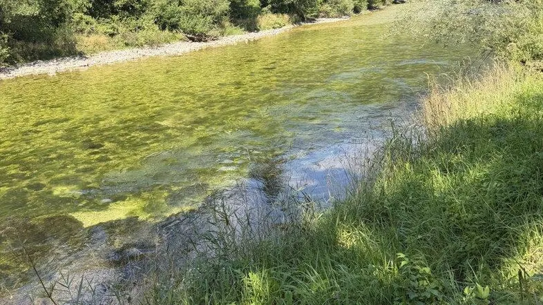 Ansicht