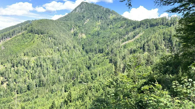 Majestätische Berglandschaft mit dicht bewaldeten Hängen unter einem strahlend blauen Himmel mit Wolken.