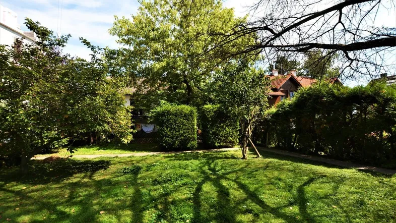 Gepflegter Gartenbereich mit Rasenfläche und altem Baumbestand, umgeben von Hecken.