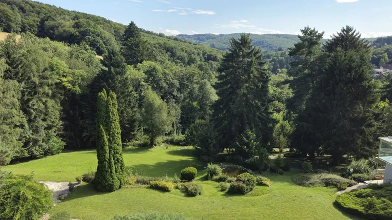 Weitläufiger Gartenbereich mit gepflegtem Rasen, hohen Bäumen und hügeliger Landschaft im Hintergrund.