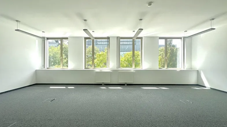Geräumiges, leeres Büro mit grauem Teppichboden, großen Fenstern und moderner Beleuchtung.