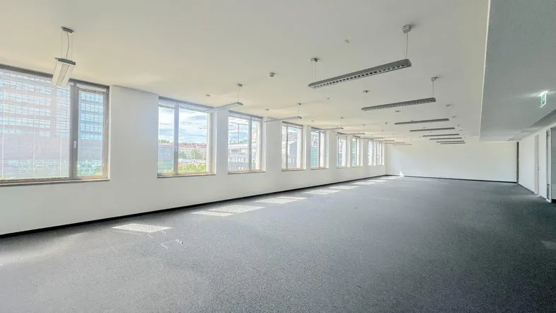 Großer, leerer Büroraum mit Teppichboden und vielen Fenstern, die viel Tageslicht hereinlassen.