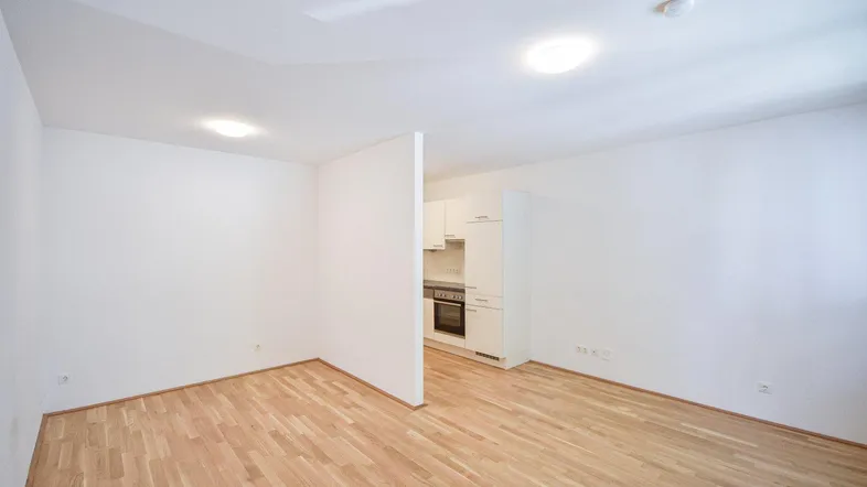 Helles Wohnzimmer mit Parkettboden und integrierter Kochnische in einem offenen Grundriss.