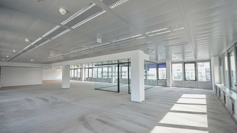 Großes, helles Büro mit Teppichboden, großen Fenstern und moderner Deckenbeleuchtung, ideal für offene Arbeitsbereiche.