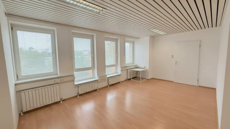 Geräumiger, heller Raum mit Holzfußboden, großen Fenstern und einer Decke mit Lamellenstruktur.