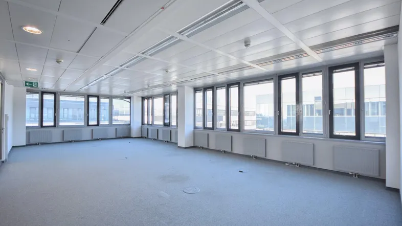Geräumiger, leerer Büroraum mit Teppichboden und vielen Fenstern, die viel Tageslicht hereinlassen.