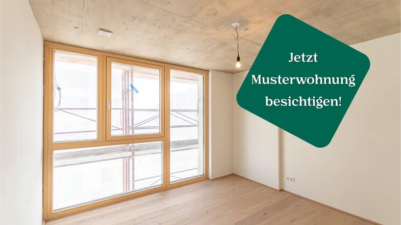 Heller, unmöblierter Raum mit großen Holzfenstern und Betonoptikdecke, ideal als Musterwohnung.