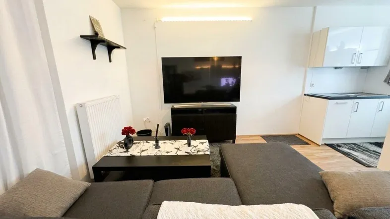 Gemütliches Wohnzimmer mit Sofa, Fernseher und integrierter kleiner Küchenzeile.