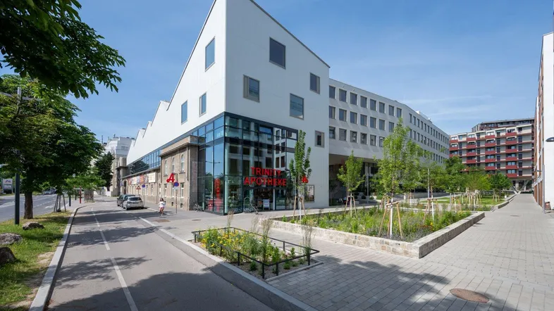 Moderne Architektur mit weißer Fassade, großen Glasflächen und begrüntem Außenbereich an der Straße.