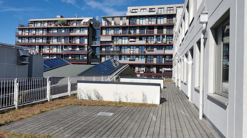 Eine begrünte Dachterrasse mit Holzbelag und Blick auf moderne Wohngebäude unter blauem Himmel.