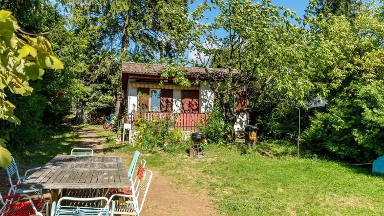 Gemütlicher Gartenbereich mit Holztisch, Stühlen und Grill, umgeben von üppigem Grün und Bäumen.