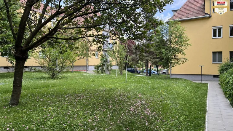 Grüner Gemeinschaftsgarten mit Bäumen und Rasenfläche vor einem Wohngebäude.