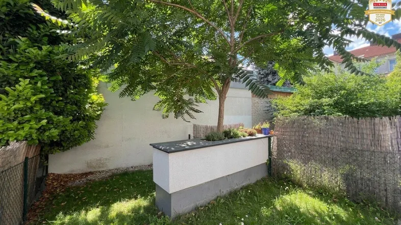 Kleiner, gepflegter Gartenbereich mit Rasenfläche, Baum und erhöhtem Pflanzbeet.