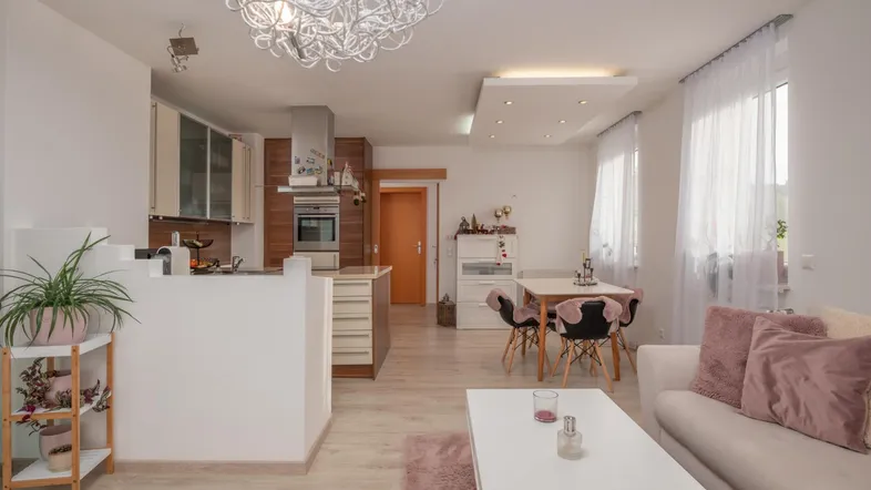 Heller, offener Wohn-Essbereich mit integrierter Küche und modernem Design.