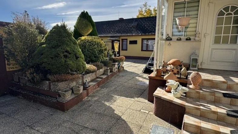 Sonniger Eingangsbereich des Hauses mit gepflastertem Weg, kleinen Ziersträuchern und Stufen zur Veranda.