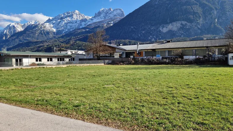 Weitläufige grüne Wiese mit schneebedeckten Bergen im Hintergrund unter einem klaren blauen Himmel.