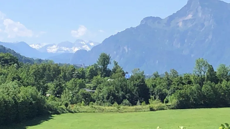 Panoramablick auf eine weite grüne Landschaft mit Wäldern und majestätischen Bergen im Hintergrund.