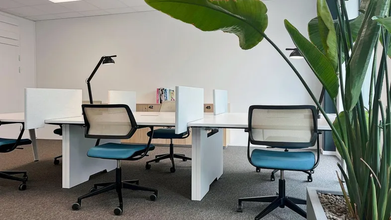 Moderner Großraumbüro mit ergonomischen Stühlen, weißen Schreibtischen und großen Grünpflanzen für eine angenehme Arbeitsatmosphäre.
