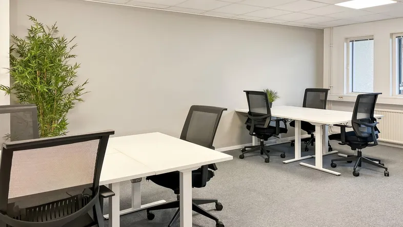 Heller Büroraum mit mehreren Arbeitsplätzen, höhenverstellbaren Tischen und grauem Teppichboden.