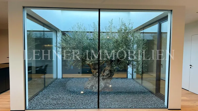 Moderner Innenhof mit Olivenbaum, umgeben von Glaswänden, schafft eine helle und offene Atmosphäre.