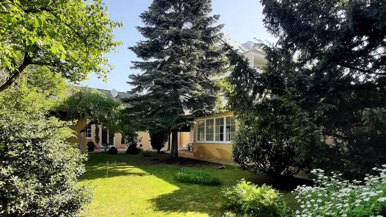 Großer, gepflegter Garten mit altem Baumbestand und viel Grünfläche vor dem Haus.