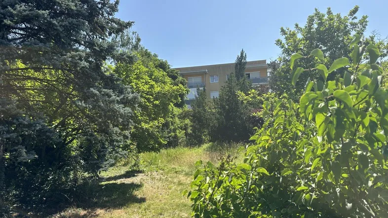 Grüne Umgebung mit Bäumen und einem Gebäude im Hintergrund unter blauem Himmel.