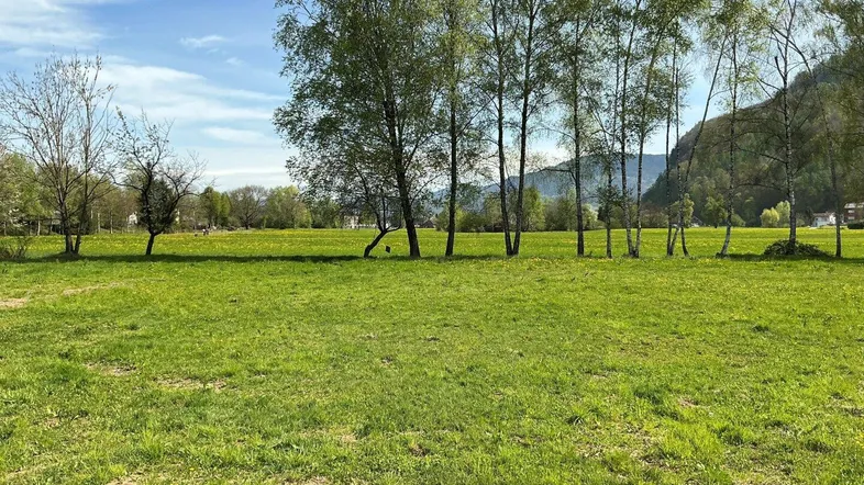 Weitläufige grüne Wiese mit Bäumen und malerischem Bergblick unter blauem Himmel.
