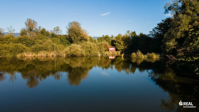 Idyllischer See umgeben von üppiger Vegetation unter einem klaren blauen Himmel.