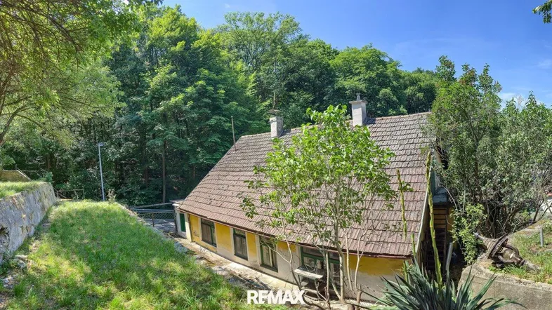 Panoramablick auf das Haus mit Satteldach, umgeben von üppigem Grün und Bäumen.