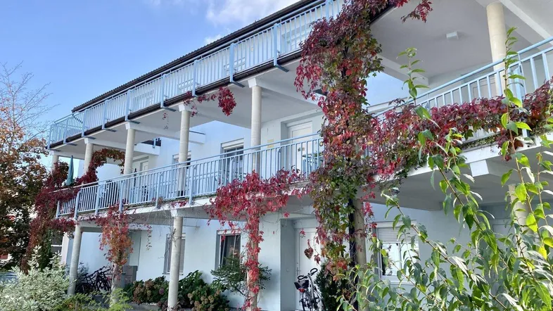 Mehrstöckiges Wohngebäude mit Balkonen und herbstlicher Kletterpflanzenbegrünung unter blauem Himmel.