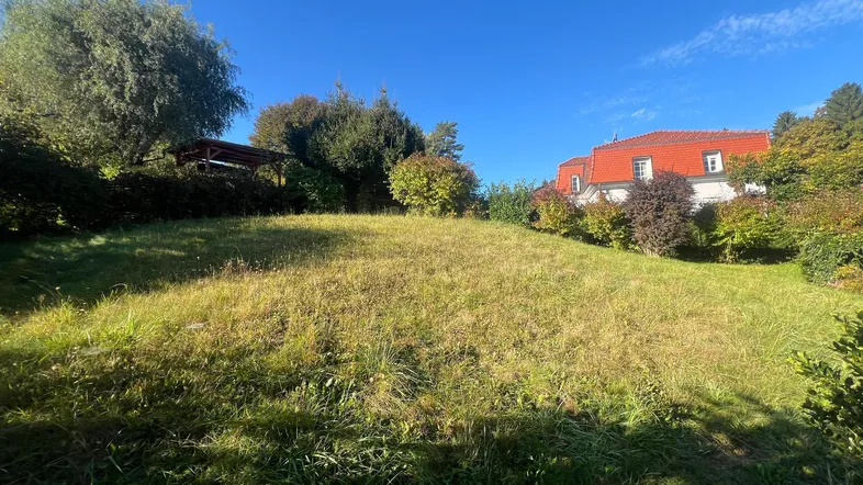 Weitläufige Rasenfläche mit Bäumen und Sträuchern, im Hintergrund ein Haus mit rotem Dach unter blauem Himmel.